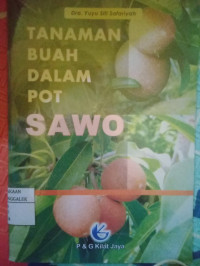 Image of Tanaman Buah dalam Pot Sawo